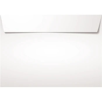 ΠΑΚΕΤΟ 25 ΦΑΚΕΛΟΙ ΛΕΥΚΟΙ ΑΥΤΟΚΟΛΛΗΤΟΙ 12.5x17.5cm TYPOTRUST 90gr Νο 3001-25