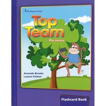 TOP TEAM PRE-JUNIOR FLASHCARDS