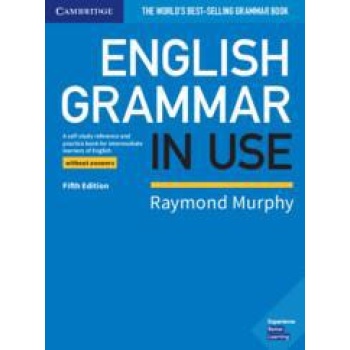 ENGLISH GRAMMAR IN USE WO/ANSWERS 5TH EDITION