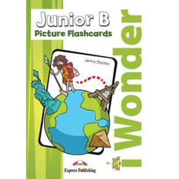 I WONDER JUNIOR B PICTURE FLASHCARDS