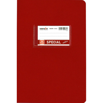 ΤΕΤΡΑΔΙΟ ΜΠΟΡΝΤΩ ΡΙΓΕ 50 ΦΥΛΛΩΝ SPECIAL COLOR TYPOTRUST 4073
