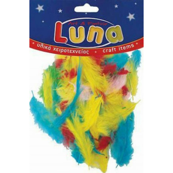 ΦΤΕΡΑ ΜΙΚΡΑ ΠΟΛΥΧΡΩΜΑ 6gr LUNA ART & FANTASY 0601631