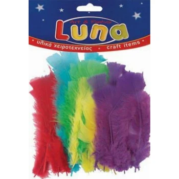 30 ΦΤΕΡΑ ΜΕΓΑΛΑ ΠΟΛΥΧΡΩΜΑ 6gr LUNA ART & FANTASY 0601630