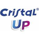 Bic Cristal Up Logo