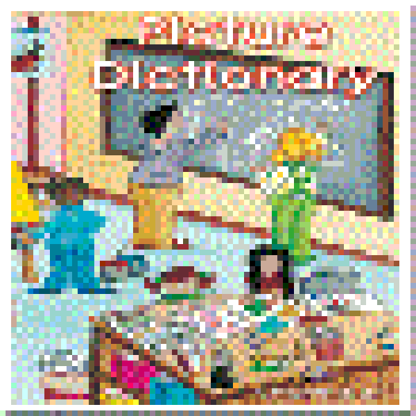 BETSIS PICTURE DICTIONARY (MY FIRST 1000 WORDS) - BETSIS